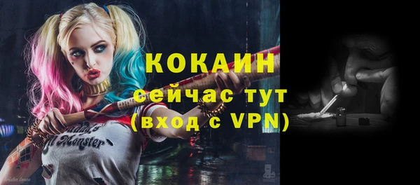дурь Гусев