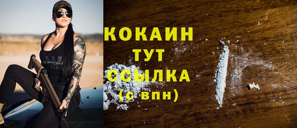 дурь Гусев