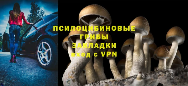дмт Гусиноозёрск