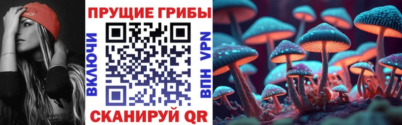 Галлюциногенные грибы MAGIC MUSHROOMS  Мамадыш 